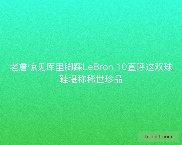 老詹惊见库里脚踩LeBron 10直呼这双球鞋堪称稀世珍品