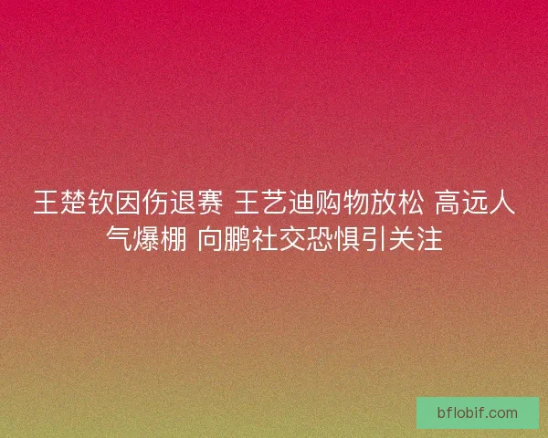王楚钦因伤退赛 王艺迪购物放松 高远人气爆棚 向鹏社交恐惧引关注